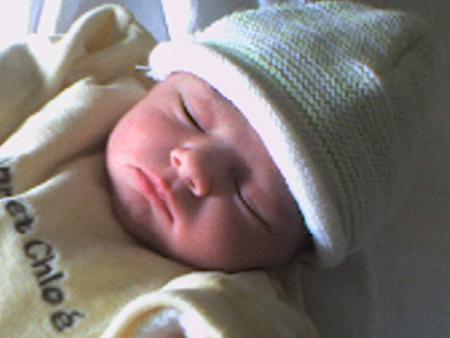 aurea